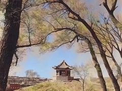 -包头博物馆