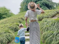 -泰州凤城河风景区-泰山公园