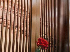 -俏江南(中山路先天下广场店)