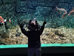 -常州海昌海洋探索馆