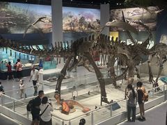 -国家自然博物馆