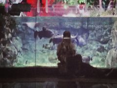 -常州海昌海洋探索馆