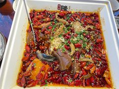 -杨记隆府(白象街店)