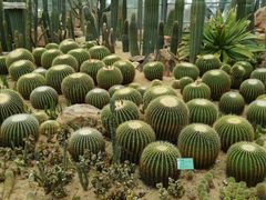 -华南国家植物园-售票处