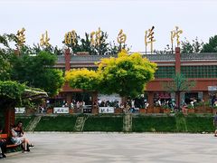 -白洋淀景区