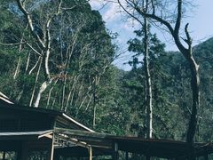 -天明山温泉大酒店