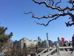 -壹条龙饭庄台基厂店