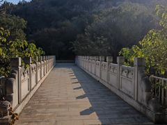 -白水寺森林公园
