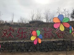 -欢乐松鼠谷