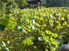 -丝绸小镇荻港古村