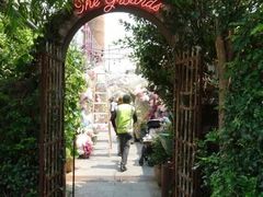 -The Grounds of Alexandria