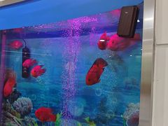 -雅悦齿科(顾村公园店)