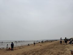 -日照海滨国家森林公园