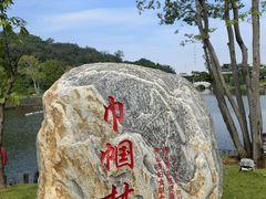 -王借岗森林公园