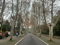 -东湖磨山景区