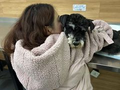 -爱侣宠医·鹦鹉专科·小型哺乳类·异宠专科(灵石路店)