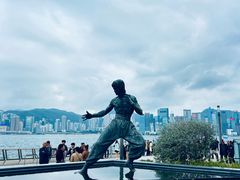 -星光大道