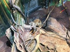 -华夏文旅西安度假区