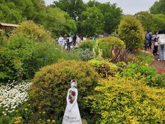 -上海共青森林公园