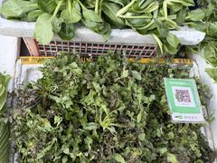-芦茨金富饭庄·25年老字号·专做稻草鸡