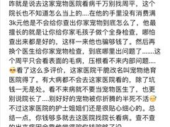 -睿金宠物医院·CT·肿瘤·骨外科