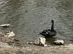 -长春市南湖公园