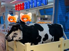 -红星前进面包牛奶公司(君太店)