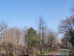 -洛阳市隋唐城遗址植物园