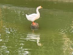 -上海千禧海鸥大酒店