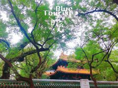 -北京国子监胡同