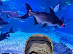 -多彩贵州城极地海洋世界