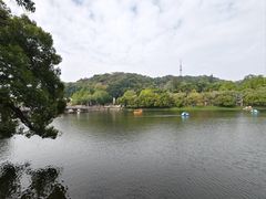 -谢怀亮芝麻茶