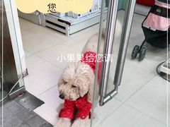 -顽皮家族宠物医院(浦东北园路分院)