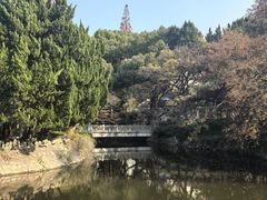 -叶家花园