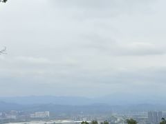 -黄埔油麻山森林公园