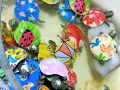 -万商花鸟市场