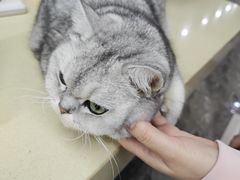 -江南环球港
