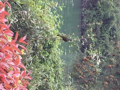 涵田度假村酒店-天目湖涵田度假村