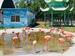 -秦皇岛野生动物园