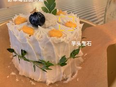 -野草莓自由市场