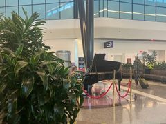 -爱德华·劳伦斯·洛根将军国际机场