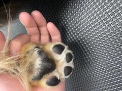 -comecome来吧宠物(奥克斯中心店)