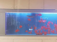 -宫七SPA·高端Massage(浦东大道店)