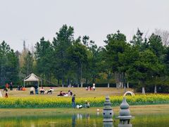 -武汉园博园(武汉自然博物馆)
