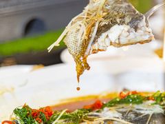 -秦月轩·陕西家乡菜(阜成路·五棵松店)