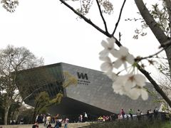 -武汉大学-樱园