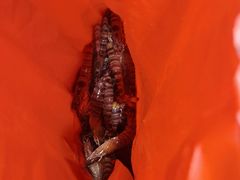 -江杨农产品批发市场