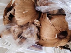 -山菌美食苑(振兴路店)