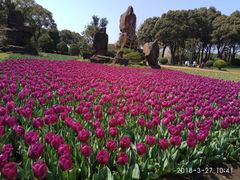 -上海鲜花港