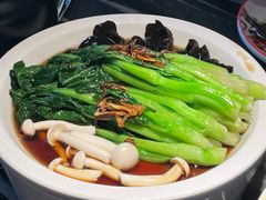 -新白鹿餐厅(虹桥南丰城店)